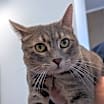 Thumbnail photo of Kinsley #2