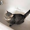 Thumbnail photo of Kinsley #3