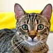 Thumbnail photo of WENDELL #1