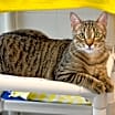 Thumbnail photo of WENDELL #2