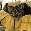 Thumbnail photo of Tabitha #1