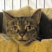 Thumbnail photo of Tabitha #3
