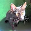 Thumbnail photo of Riley #2