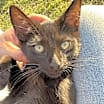Thumbnail photo of Penelope #1