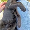 Thumbnail photo of Penelope #2
