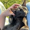Thumbnail photo of Penelope #3