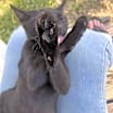 Thumbnail photo of Penelope #4