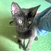 Thumbnail photo of Riley #2