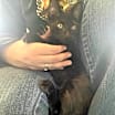 Thumbnail photo of Riley #3
