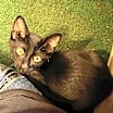 Thumbnail photo of Riley #4