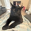 Thumbnail photo of Oliver #3