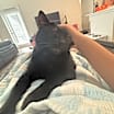 Thumbnail photo of Oliver #4
