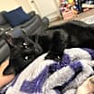 Thumbnail photo of Oliver #1