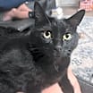 Thumbnail photo of Oliver #2