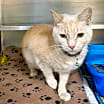 Thumbnail photo of Missy #2