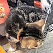Thumbnail photo of Jack Black #2