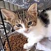 Thumbnail photo of Tess #1