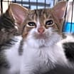 Thumbnail photo of Tess #2
