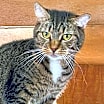 Thumbnail photo of Winnie #4