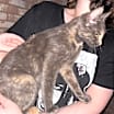 Thumbnail photo of Ruthie DHH #2
