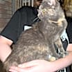 Thumbnail photo of Ruthie DHH #3
