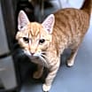 Thumbnail photo of Cassidy #2