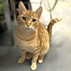 Thumbnail photo of Cassidy #3