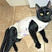 Thumbnail photo of Evelyn #1