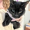 Thumbnail photo of Evelyn #2