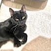 Thumbnail photo of Evelyn #3