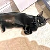 Thumbnail photo of Evelyn #4