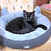 Thumbnail photo of Whisper #3