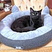 Thumbnail photo of Whisper #4
