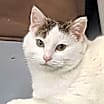 Thumbnail photo of Whitney #1