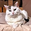 Thumbnail photo of Whitney #2