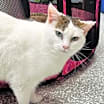 Thumbnail photo of Whitney #3