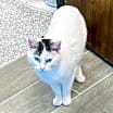 Thumbnail photo of Whitney #4