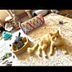 Thumbnail photo of Oogie #4