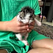 Thumbnail photo of ObiWan Kenobi & Chewy #3