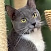 Thumbnail photo of Agatha #2
