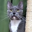 Thumbnail photo of Agatha #3