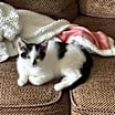 Thumbnail photo of Sol #3
