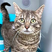 Thumbnail photo of Vincent #1