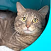 Thumbnail photo of Vincent #2