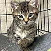 Thumbnail photo of Tucker #1