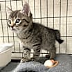 Thumbnail photo of Tucker #2