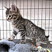 Thumbnail photo of Tucker #4