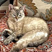 Thumbnail photo of Claire  #2