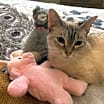 Thumbnail photo of Claire  #3