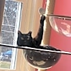 Thumbnail photo of Wynona #1